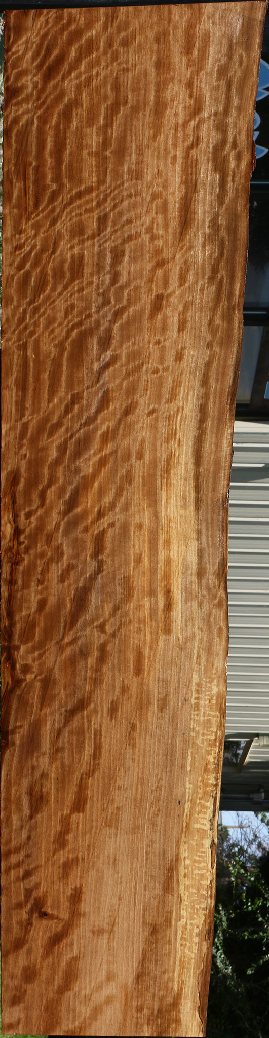 Extra Fancy Liquid Amber Live Edge Lumber