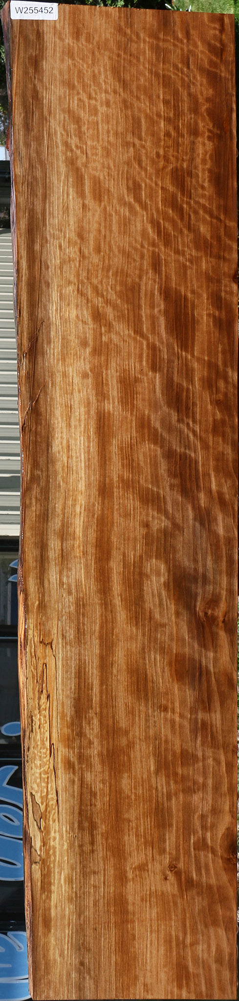 Extra Fancy Liquid Amber Live Edge Lumber