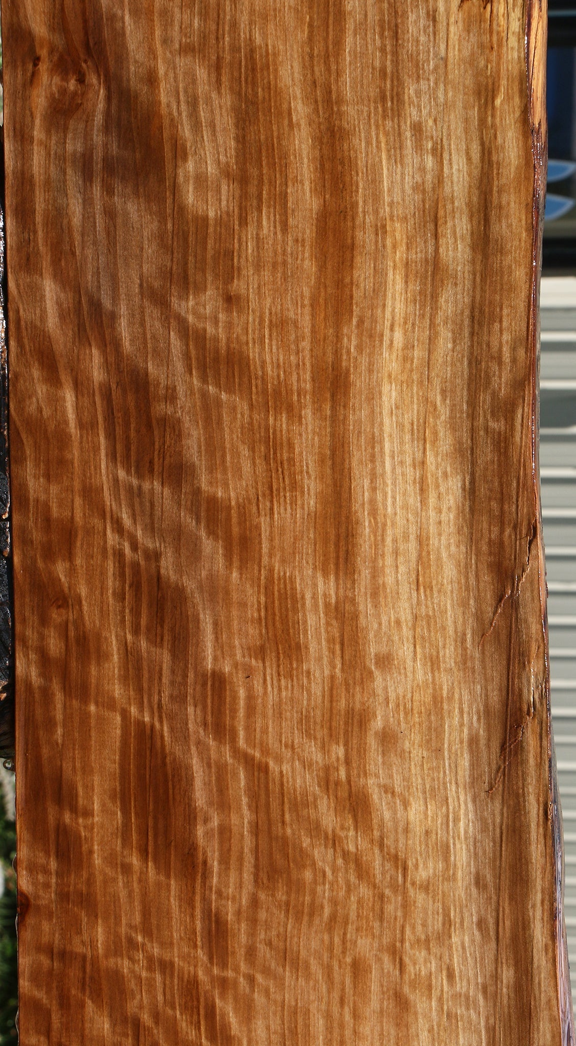 Extra Fancy Liquid Amber Live Edge Lumber