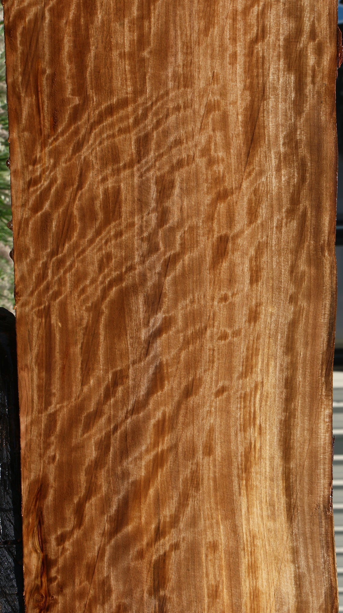 Extra Fancy Liquid Amber Live Edge Lumber