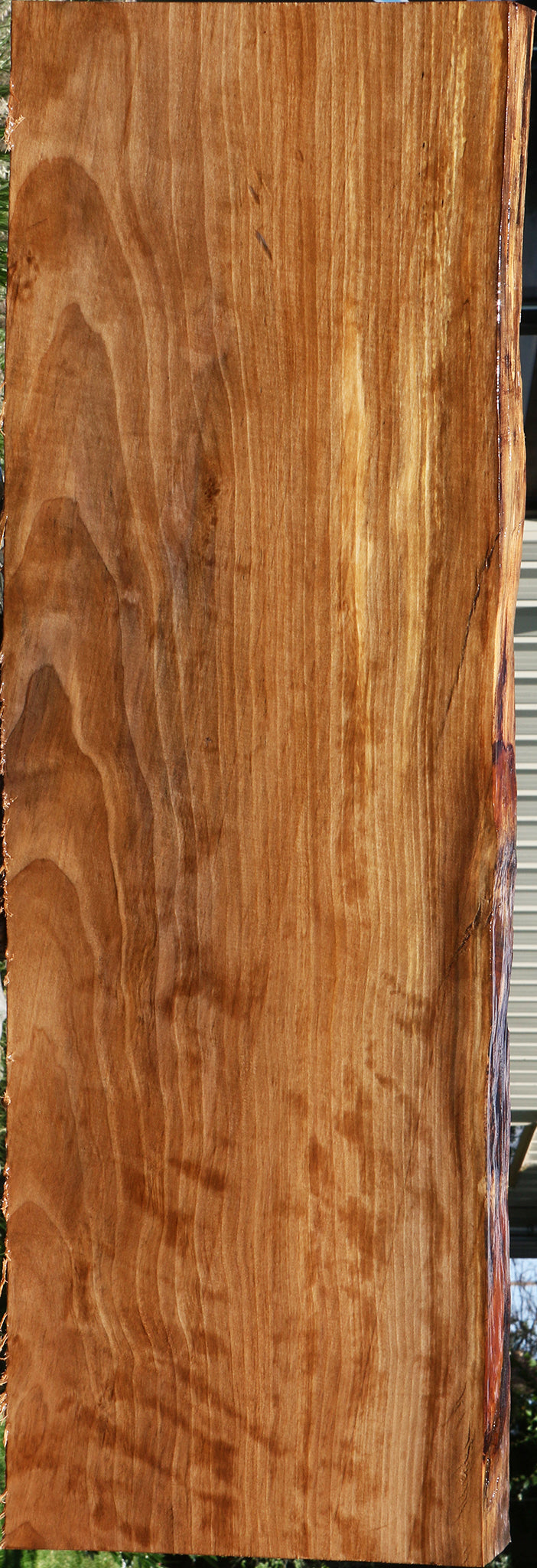 Extra Fancy Liquid Amber Live Edge Lumber