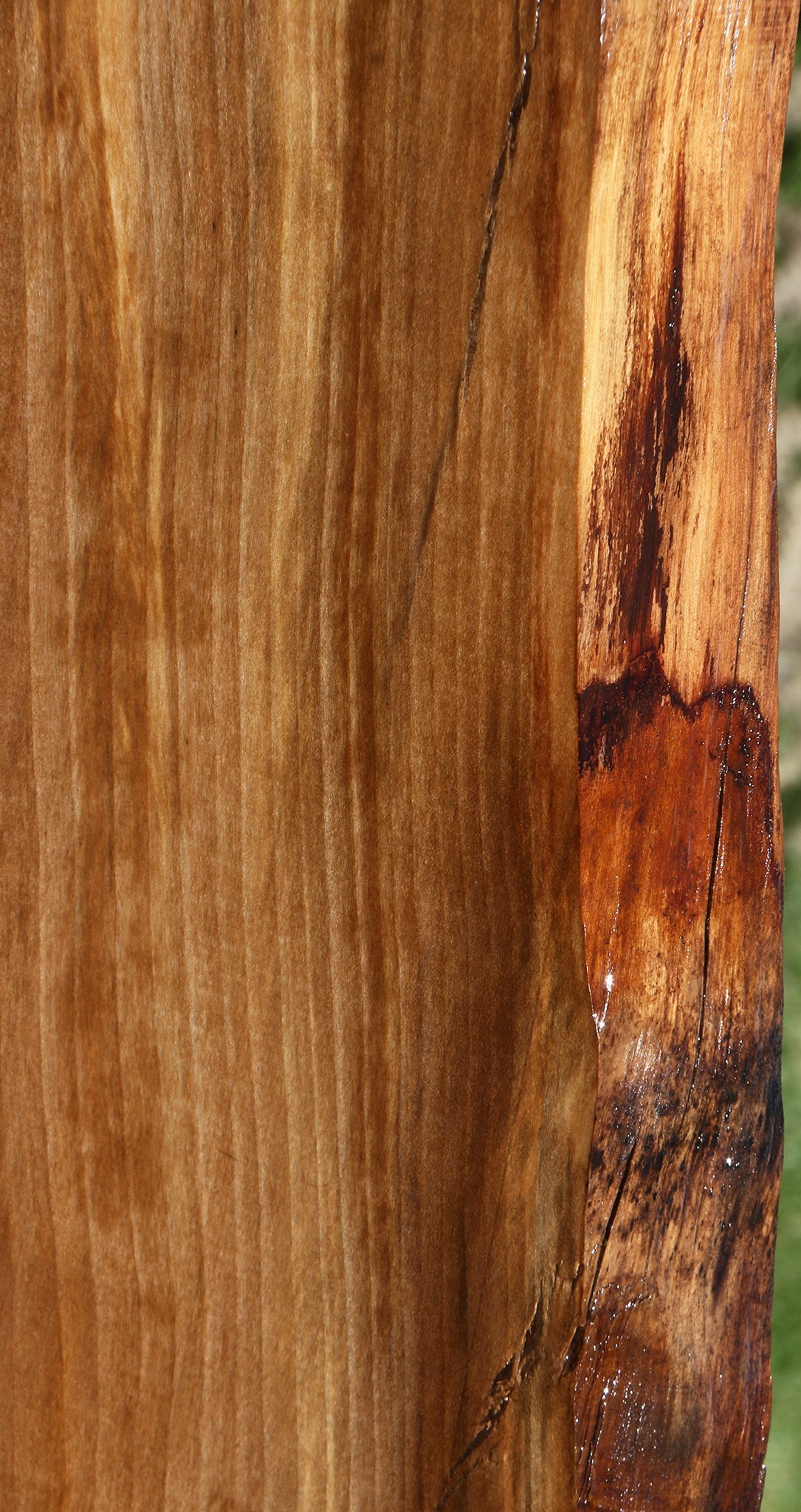 Extra Fancy Liquid Amber Live Edge Lumber