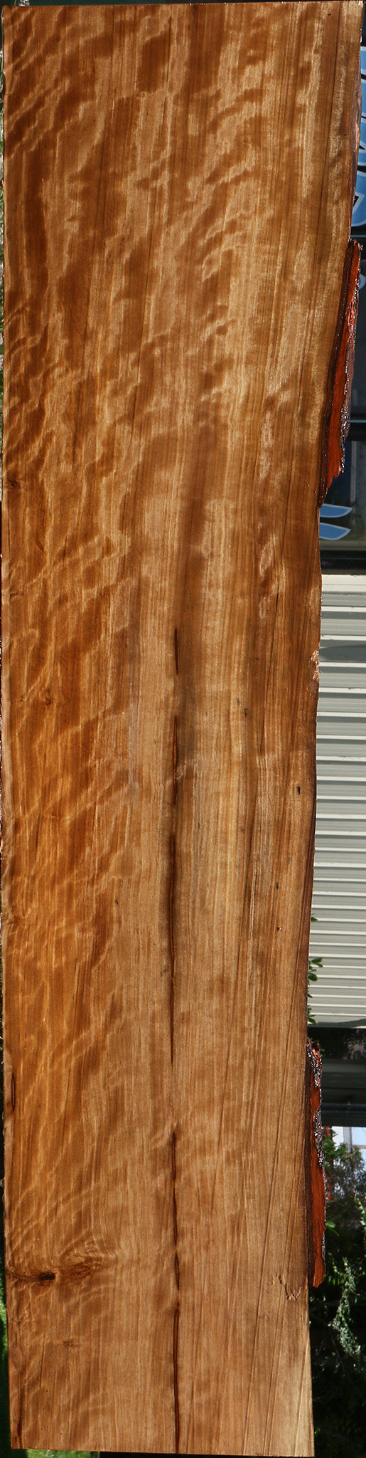 Extra Fancy Liquid Amber Live Edge Lumber