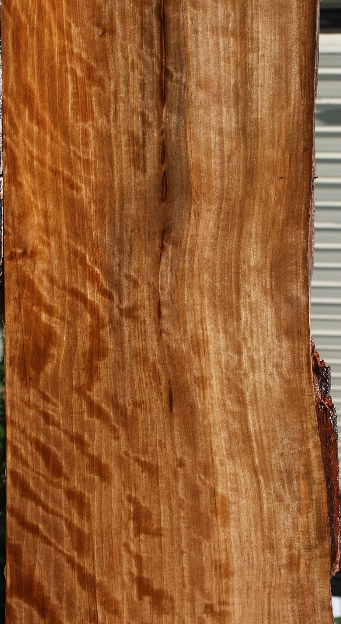 Extra Fancy Liquid Amber Live Edge Lumber