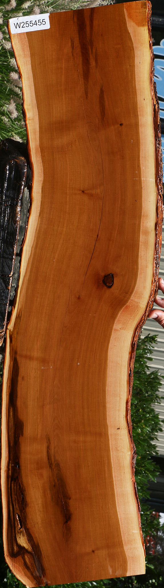 Oregon Ironwood Live Edge Lumber