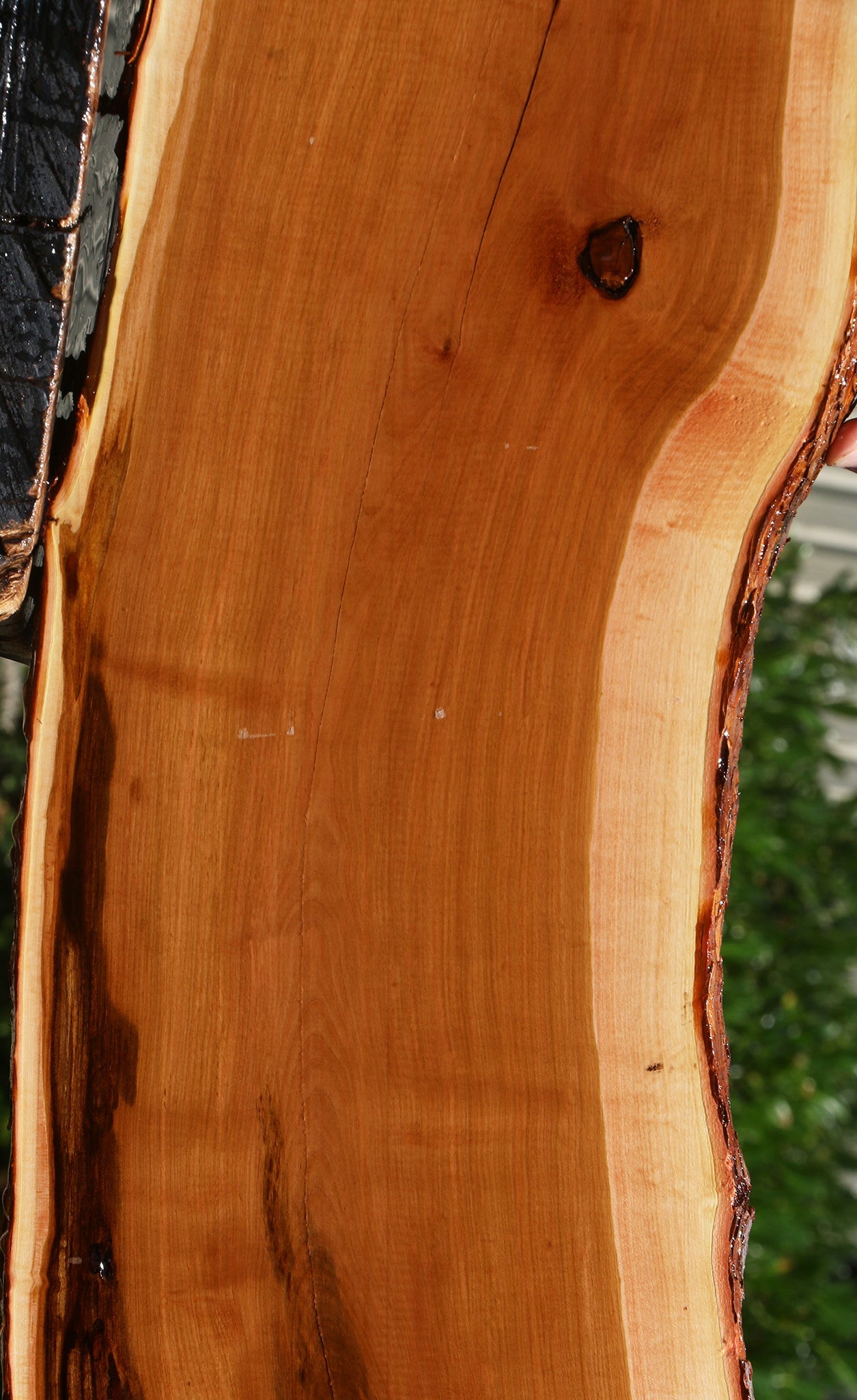 Oregon Ironwood Live Edge Lumber