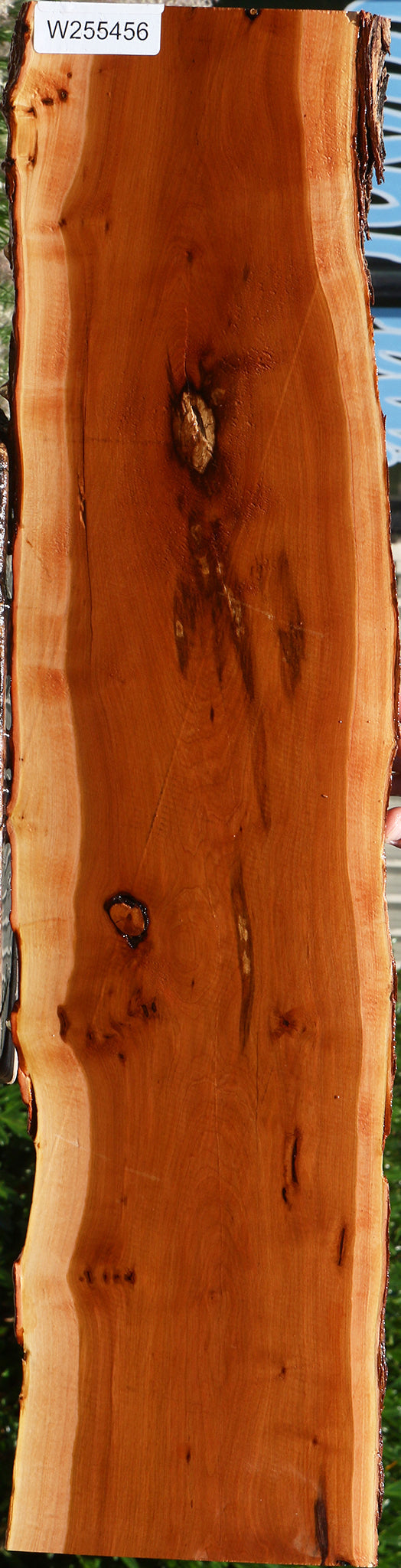 Rustic Oregon Ironwood Live Edge Lumber