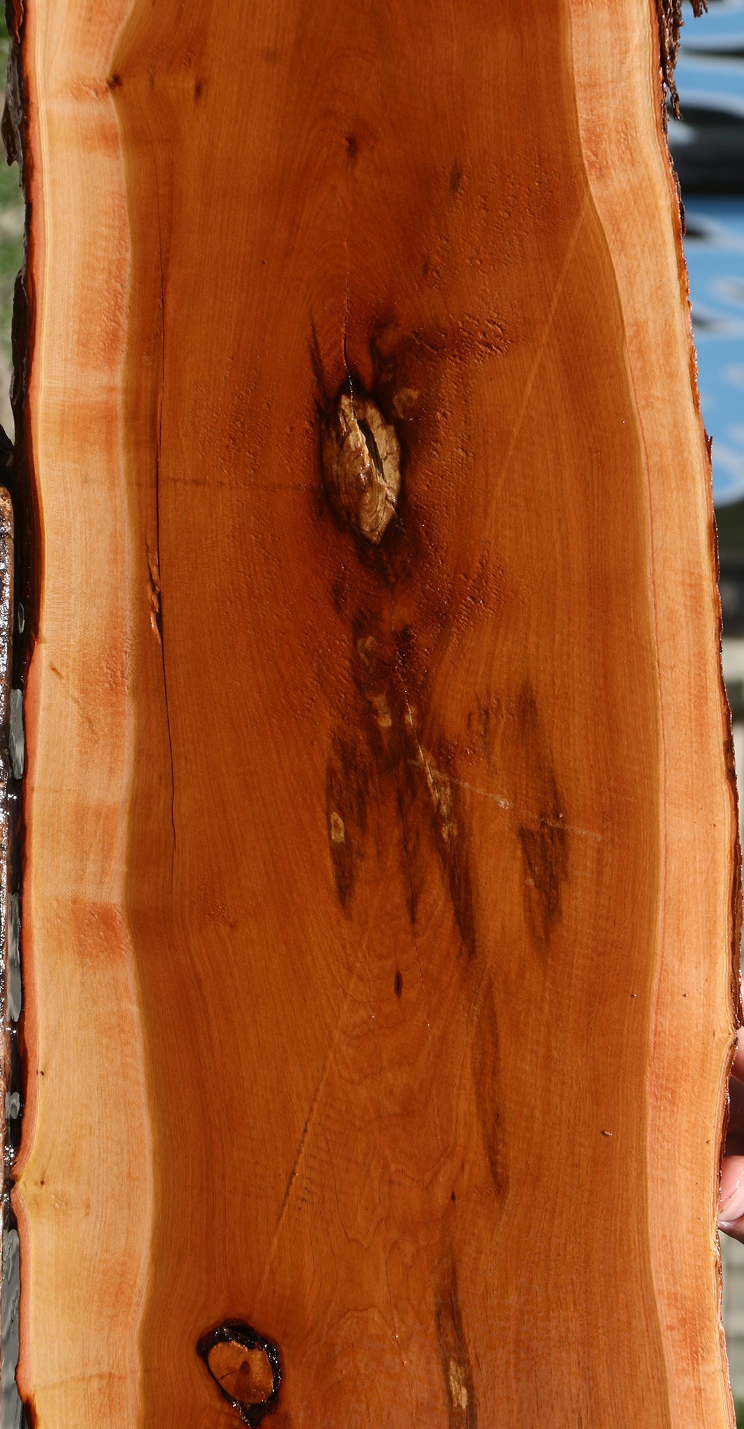 Rustic Oregon Ironwood Live Edge Lumber