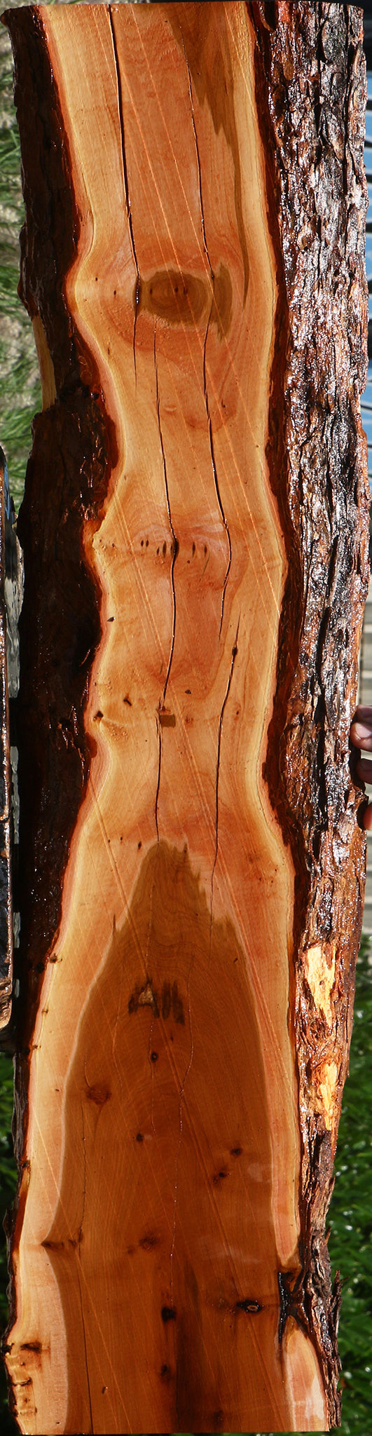 Rustic Oregon Ironwood Live Edge Lumber