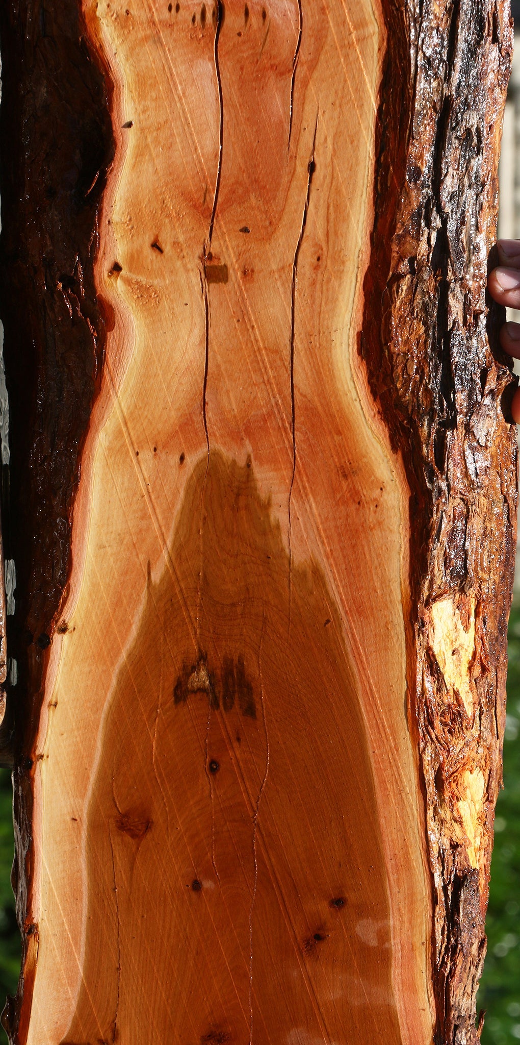 Rustic Oregon Ironwood Live Edge Lumber