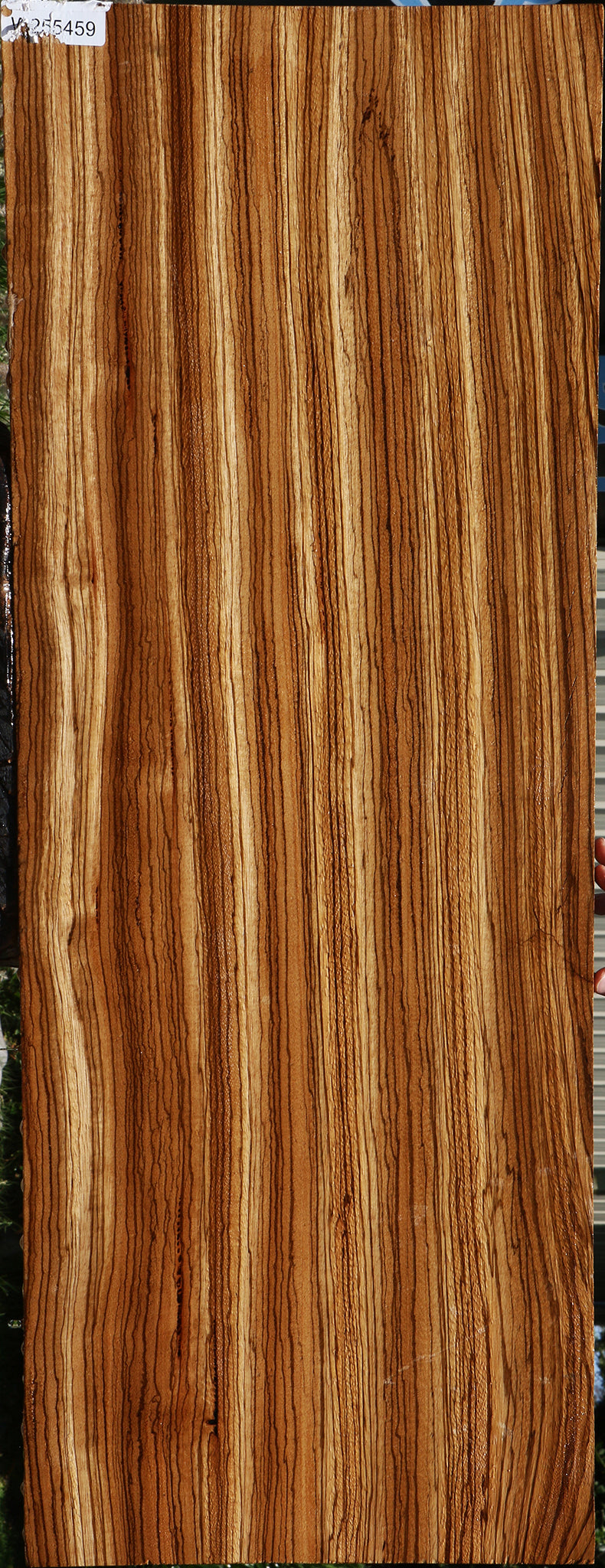 Figured Zebrawood Lumber