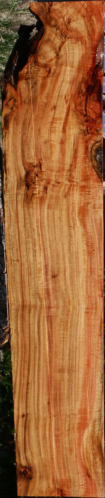 Extra Fancy Carob Lumber