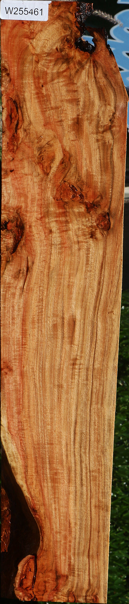 Extra Fancy Carob Lumber