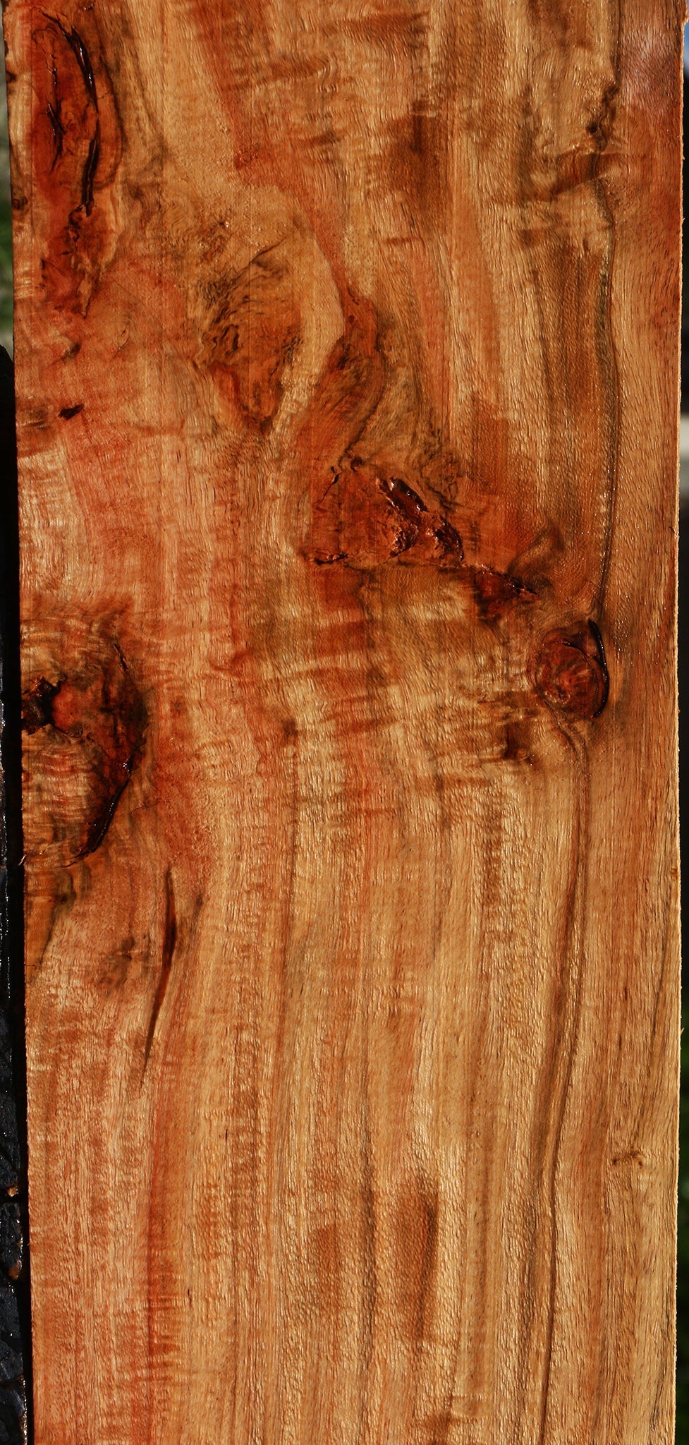 Extra Fancy Carob Lumber