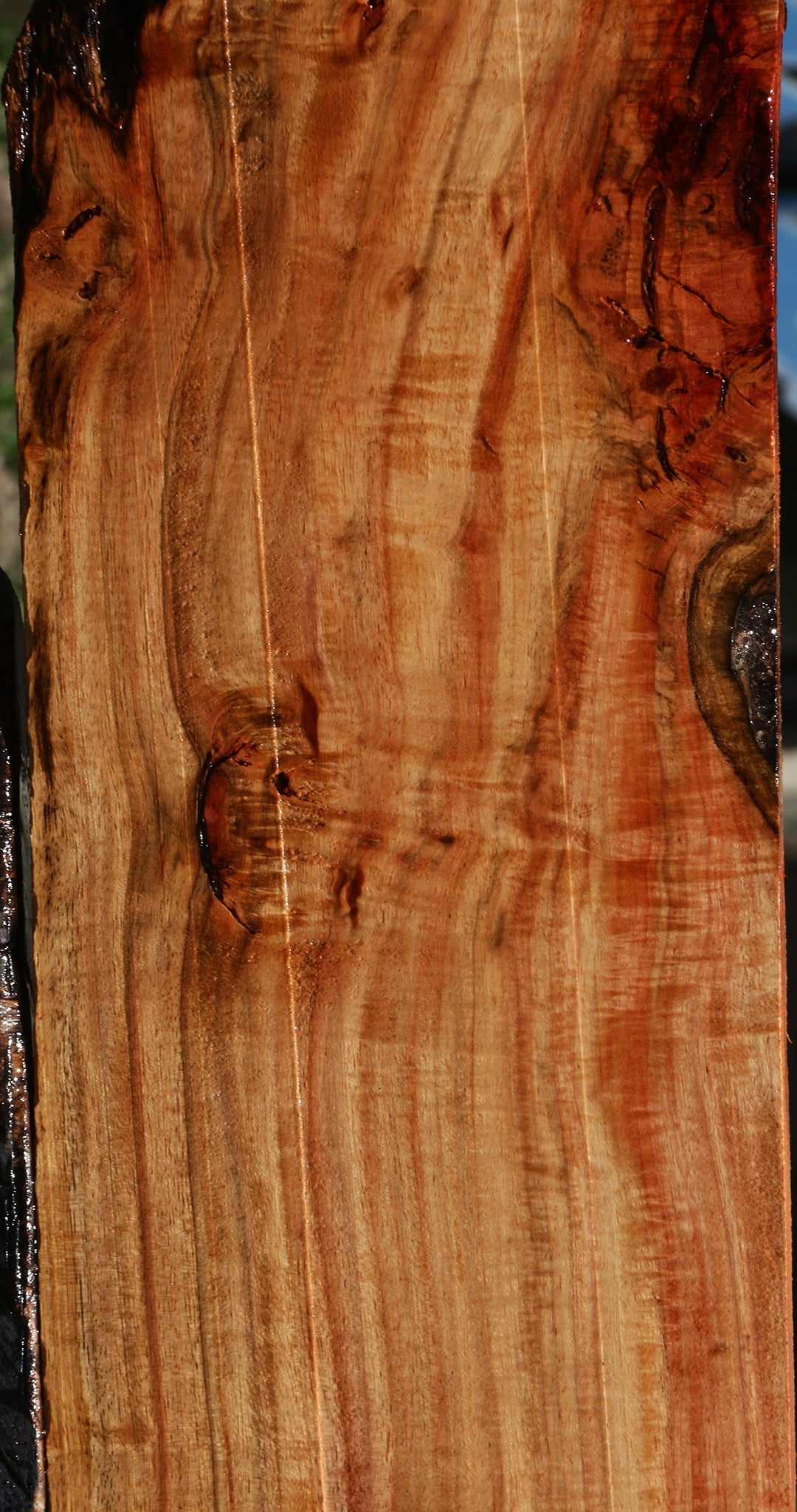 Extra Fancy Carob Lumber