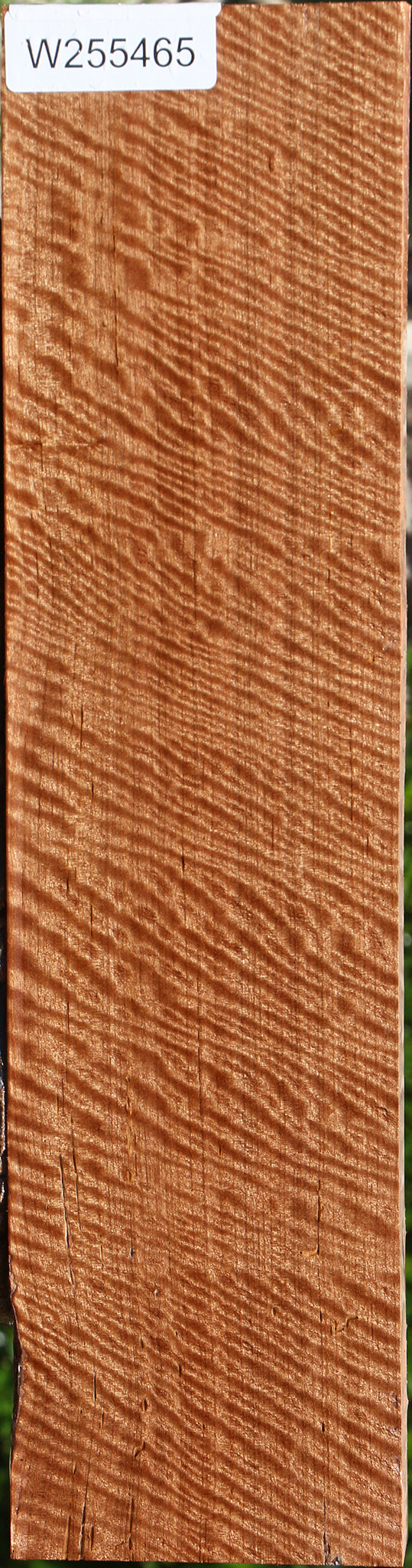 Exhibition Asian Satinwood Lumber