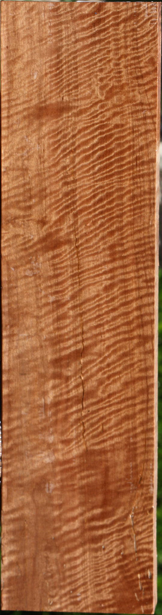 Exhibition Asian Satinwood Lumber
