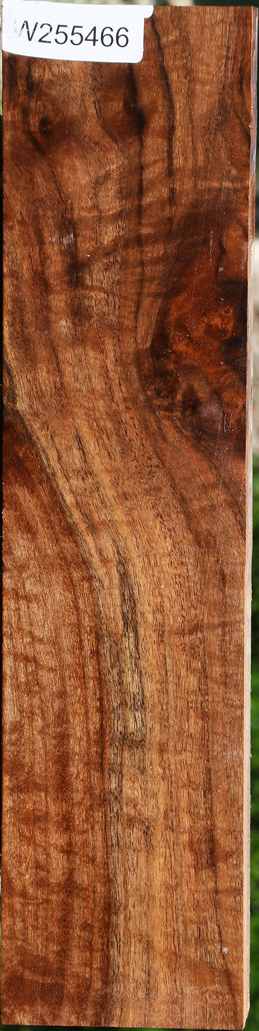 Extra Fancy Claro Walnut Lumber