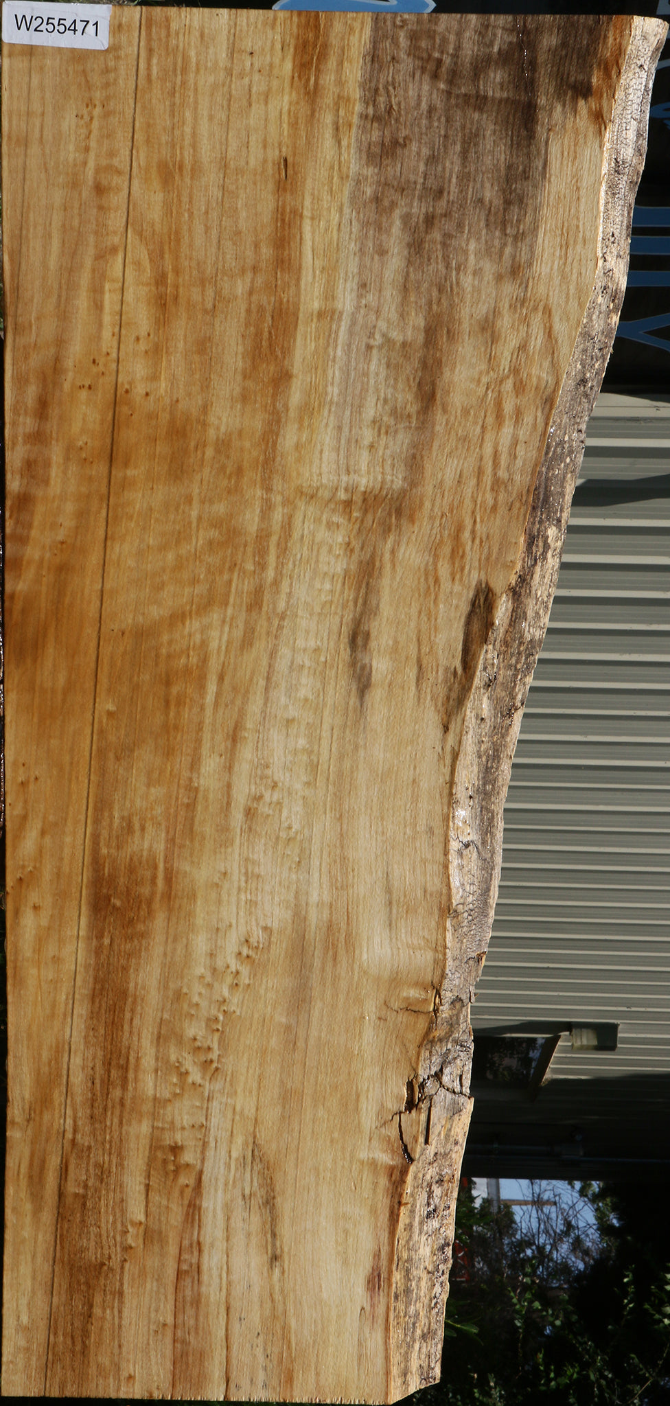 Figured Black Cottonwood Live Edge Lumber
