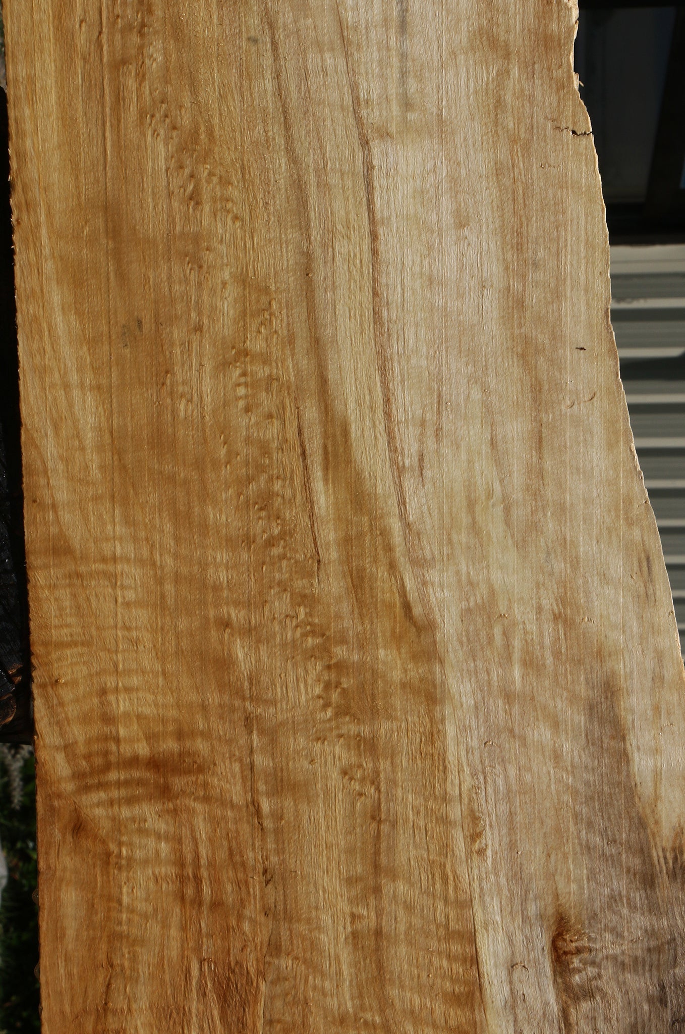 Figured Black Cottonwood Live Edge Lumber