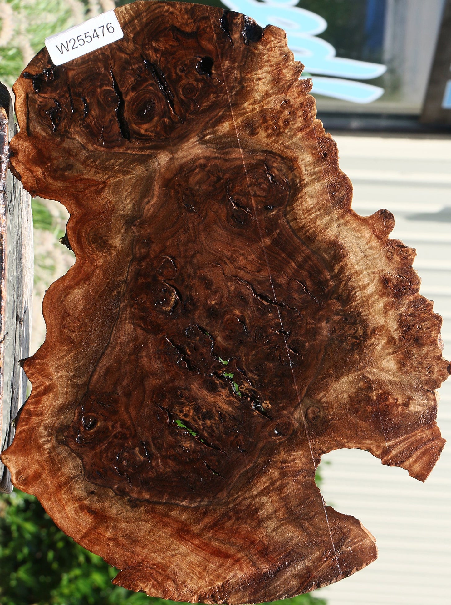 Rustic Claro Walnut Burl Cookie