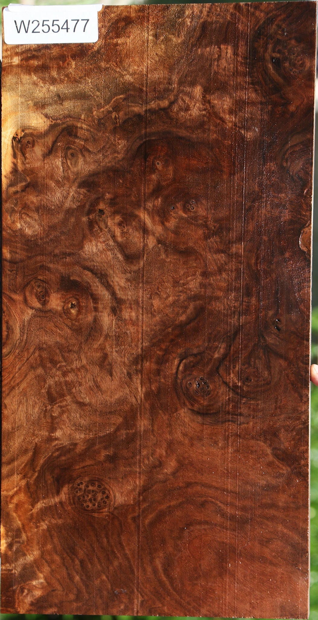 Extra Fancy Claro Walnut Burl Lumber
