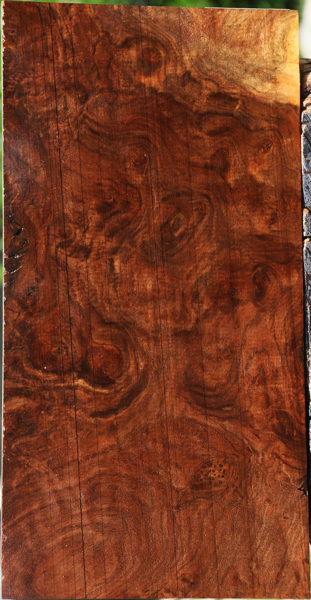 Extra Fancy Claro Walnut Burl Lumber