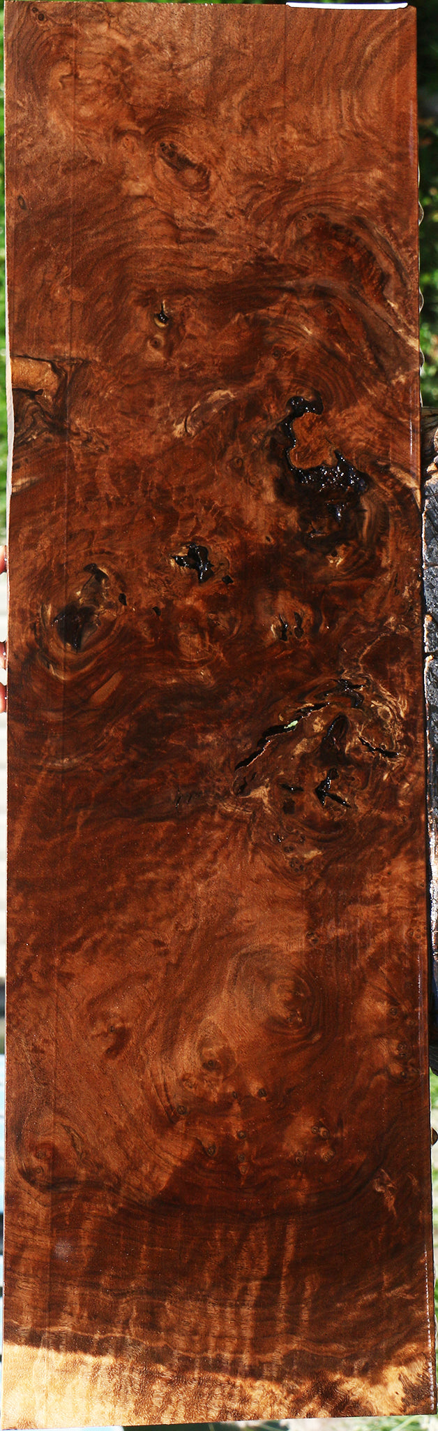 Rustic Claro Walnut Burl Micro Lumber