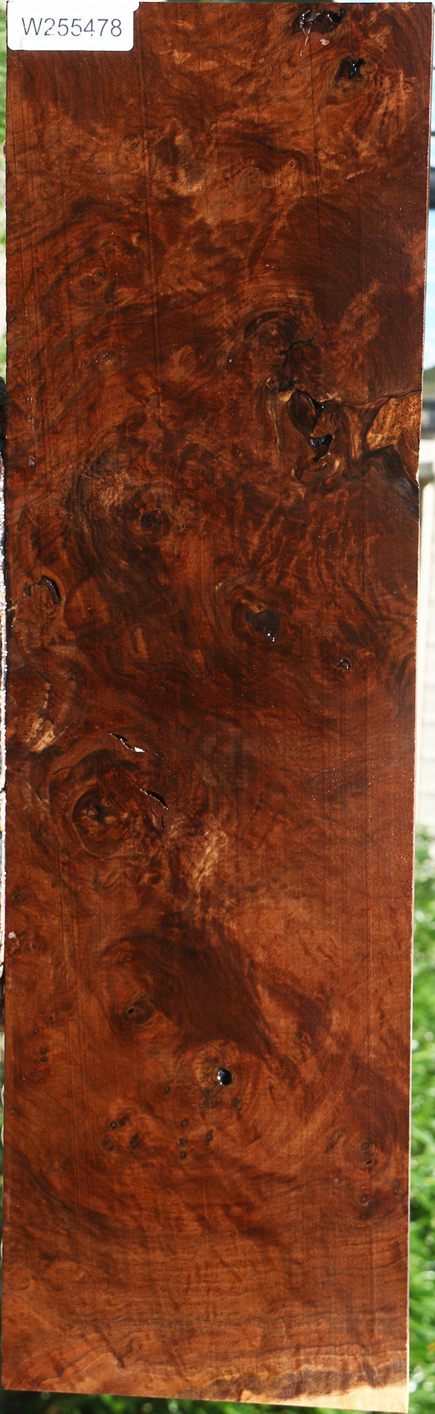 Rustic Claro Walnut Burl Micro Lumber