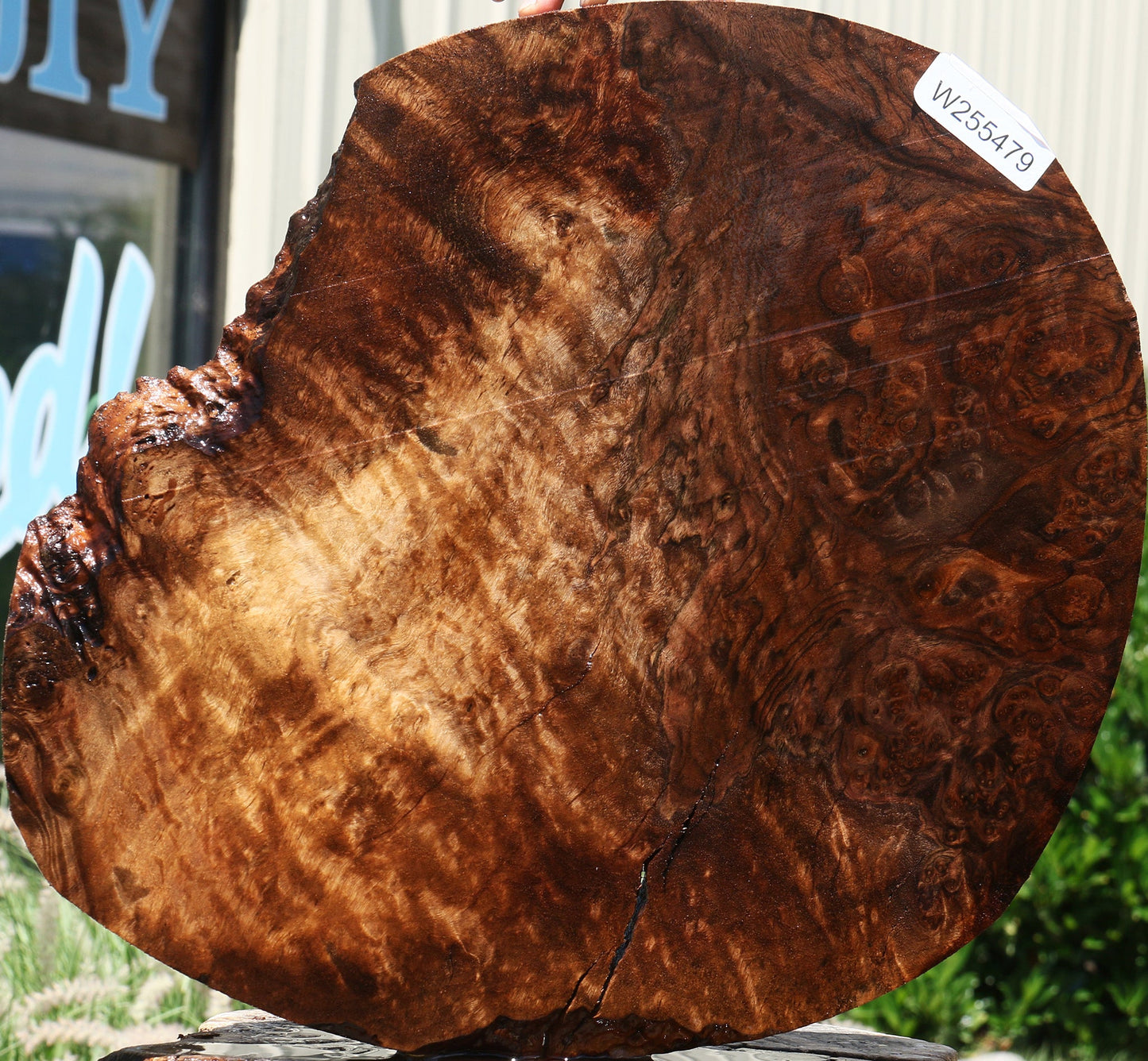 Rustic Claro Walnut Burl Cookie