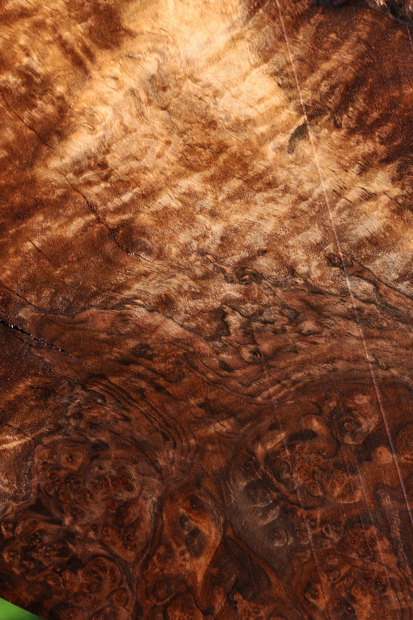 Rustic Claro Walnut Burl Cookie
