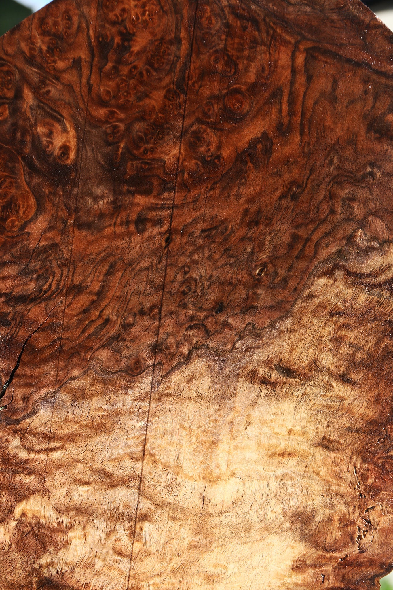 Rustic Claro Walnut Burl Cookie