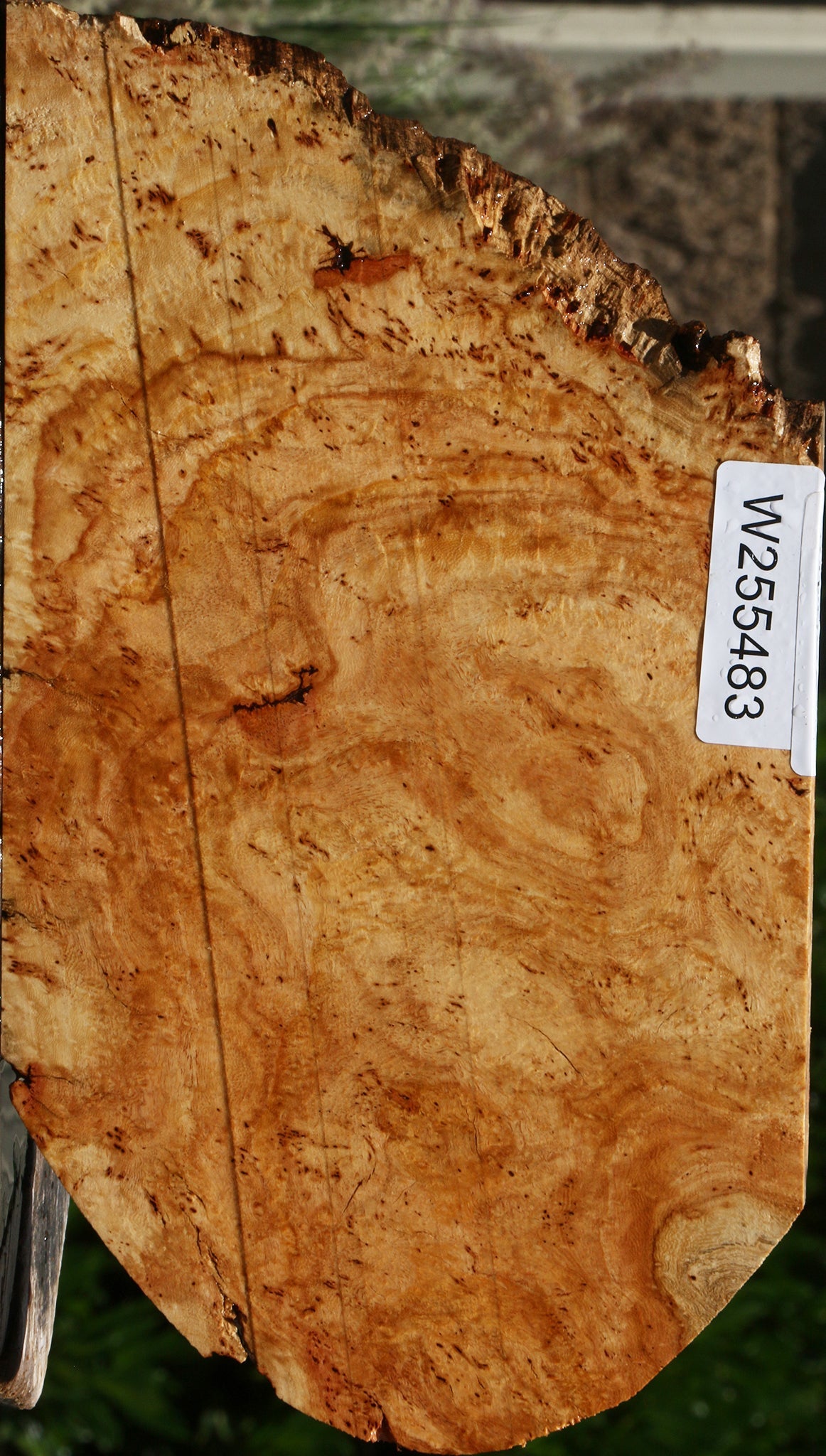 Carob Burl Live Edge Lumber