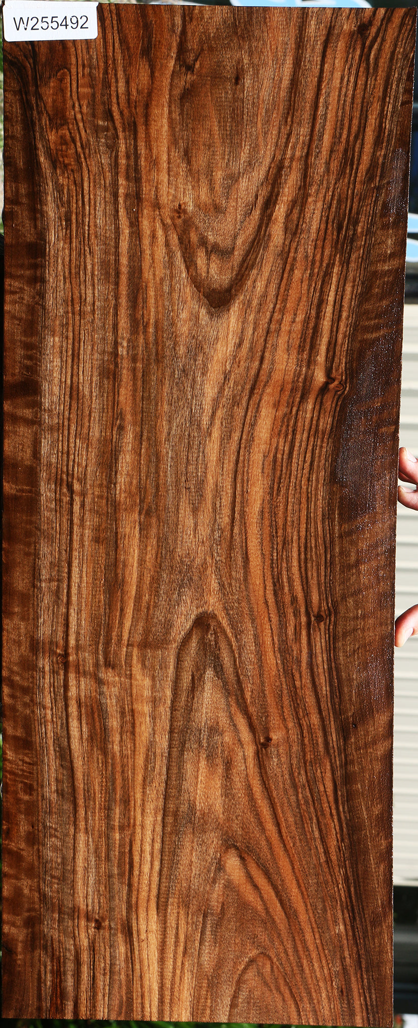 Bastogne Walnut Lumber