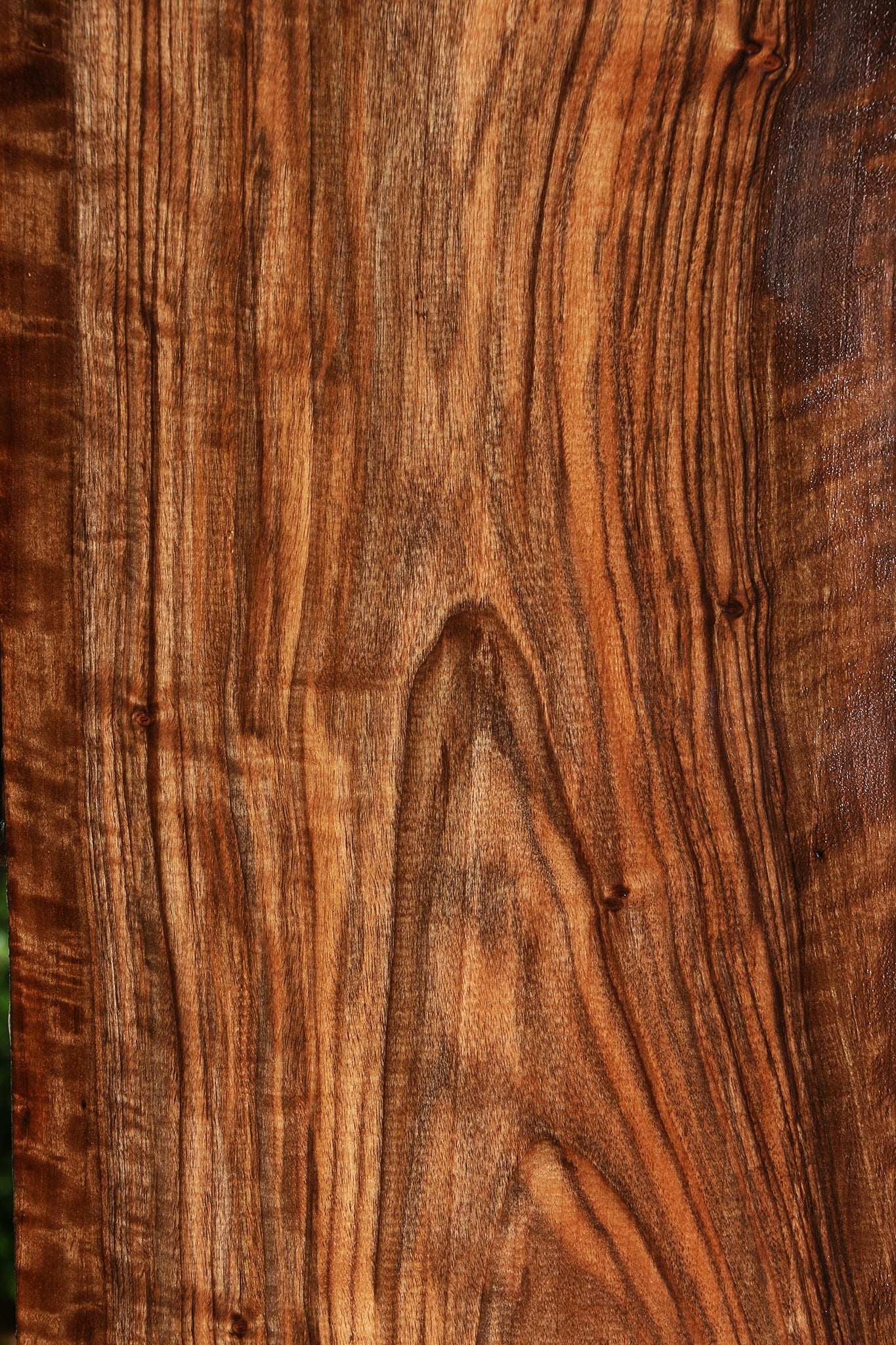 Bastogne Walnut Lumber