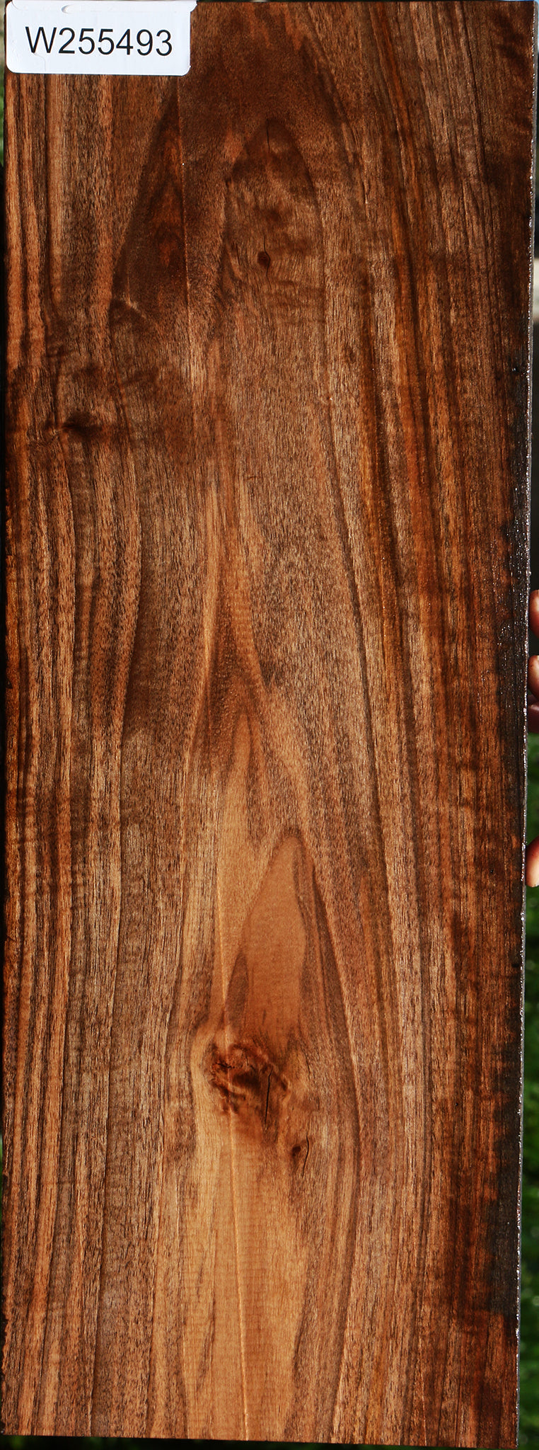 Bastogne Walnut Lumber