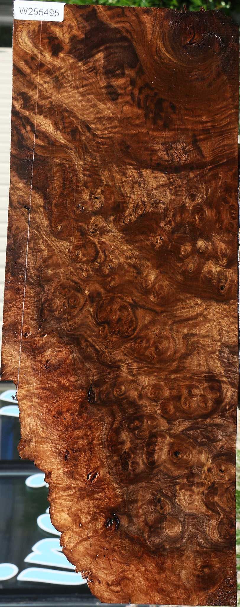 Rustic Claro Walnut Burl Live Edge Lumber
