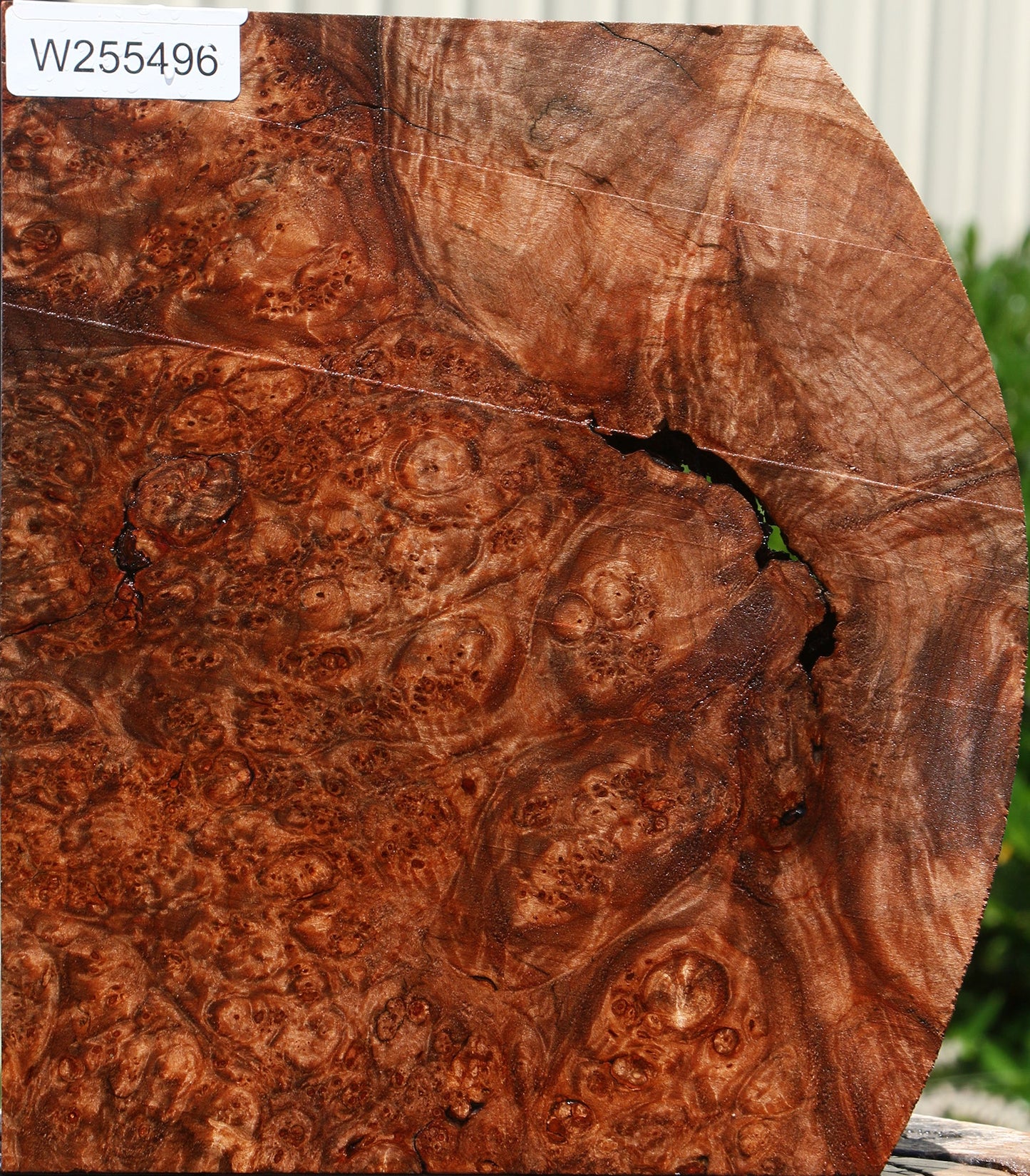 Extra Fancy Maple Burl Lumber