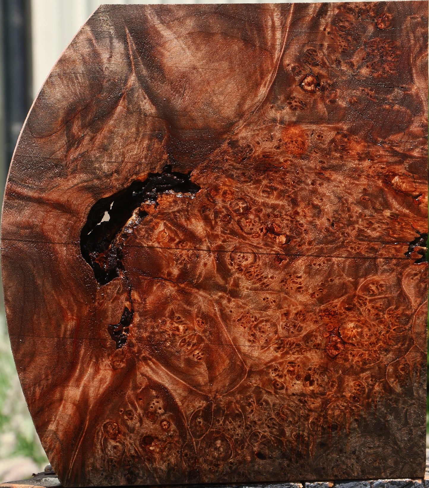 Extra Fancy Maple Burl Lumber