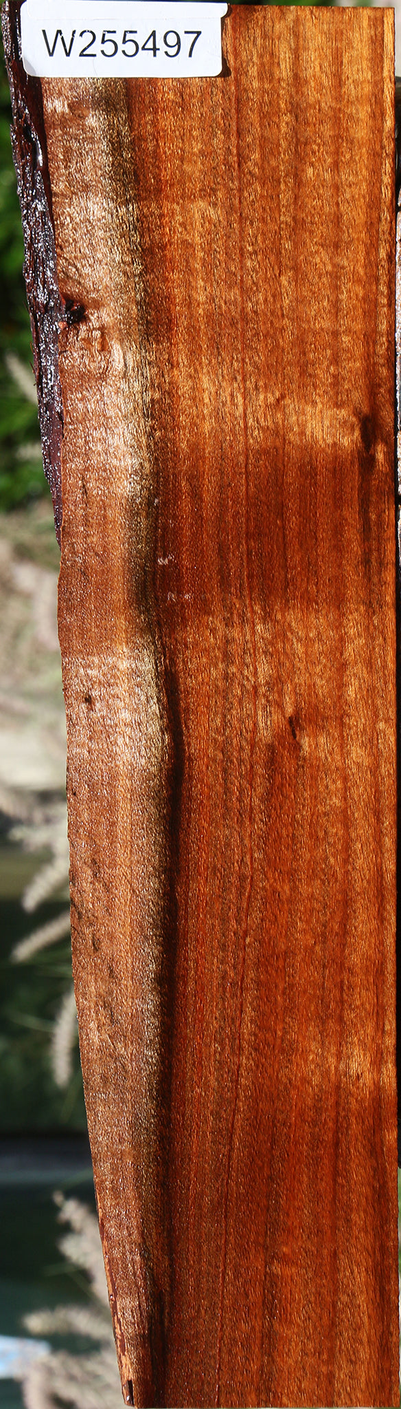 Figured Hawaiian Koa Live Edge Lumber