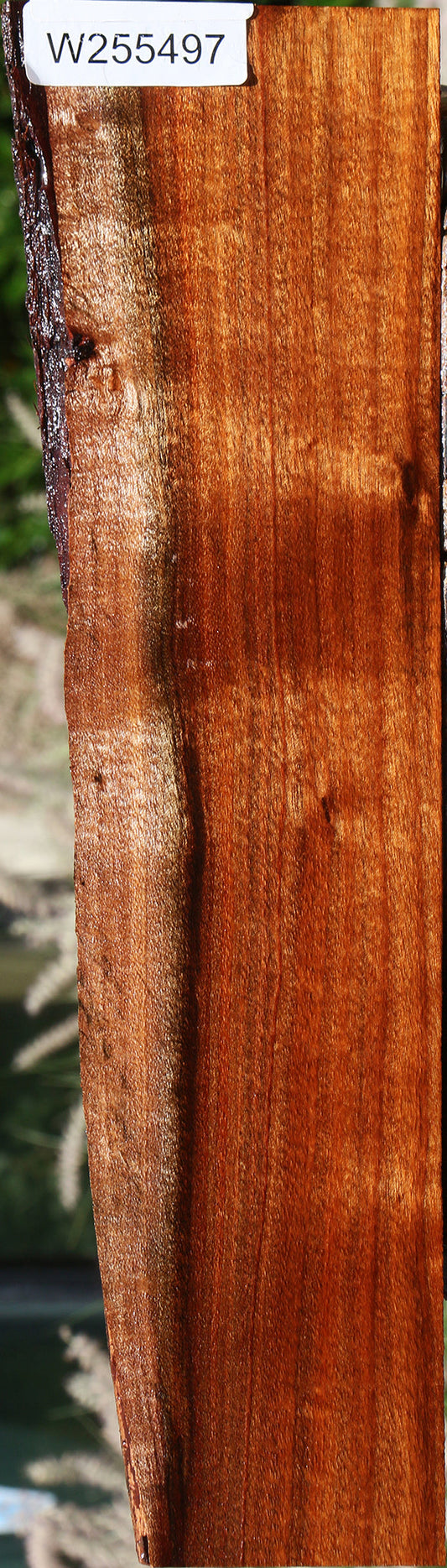 Figured Hawaiian Koa Live Edge Lumber