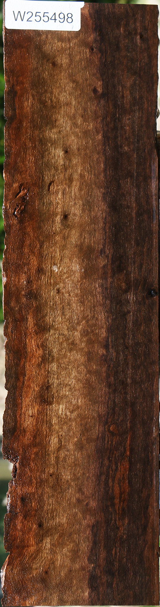 Extra Fancy Claro Walnut Live Edge Lumber