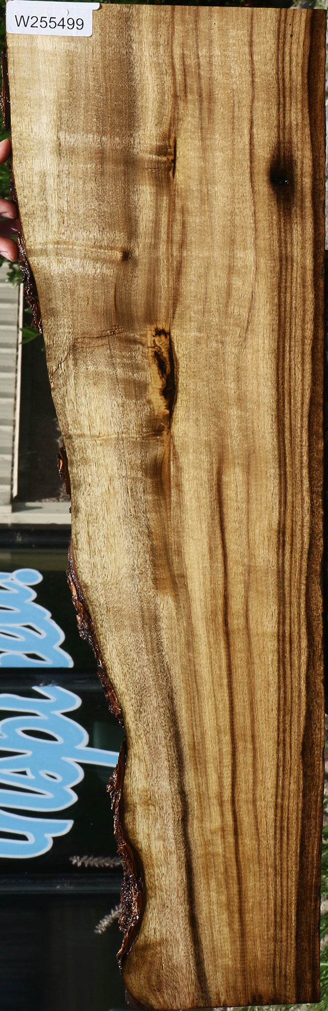 Figured Rustic Myrtle Live Edge Lumber