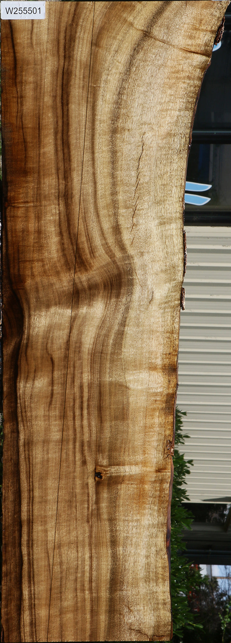 Figured Myrtle Live Edge Lumber