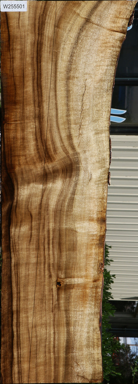 Figured Myrtle Live Edge Lumber