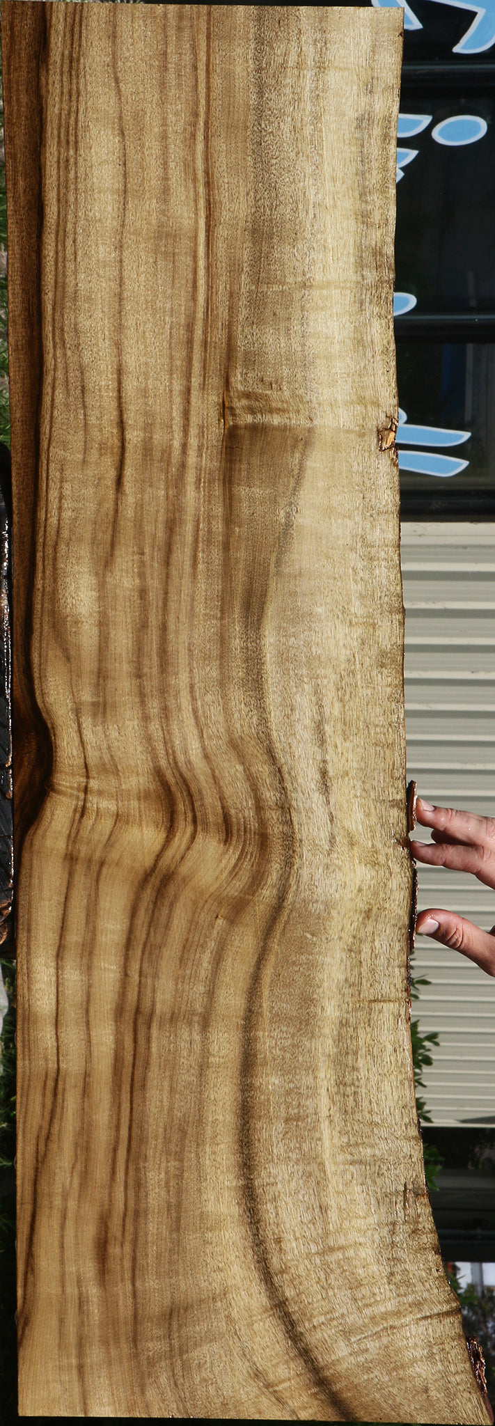 Figured Myrtle Live Edge Lumber