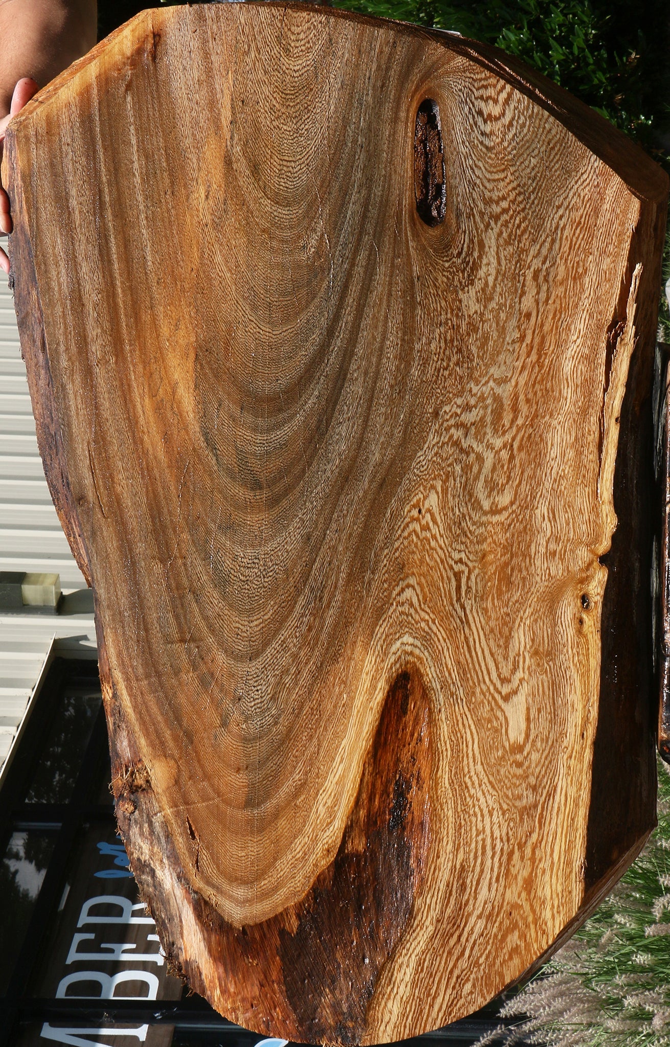 Spalted Hackberry Cookie