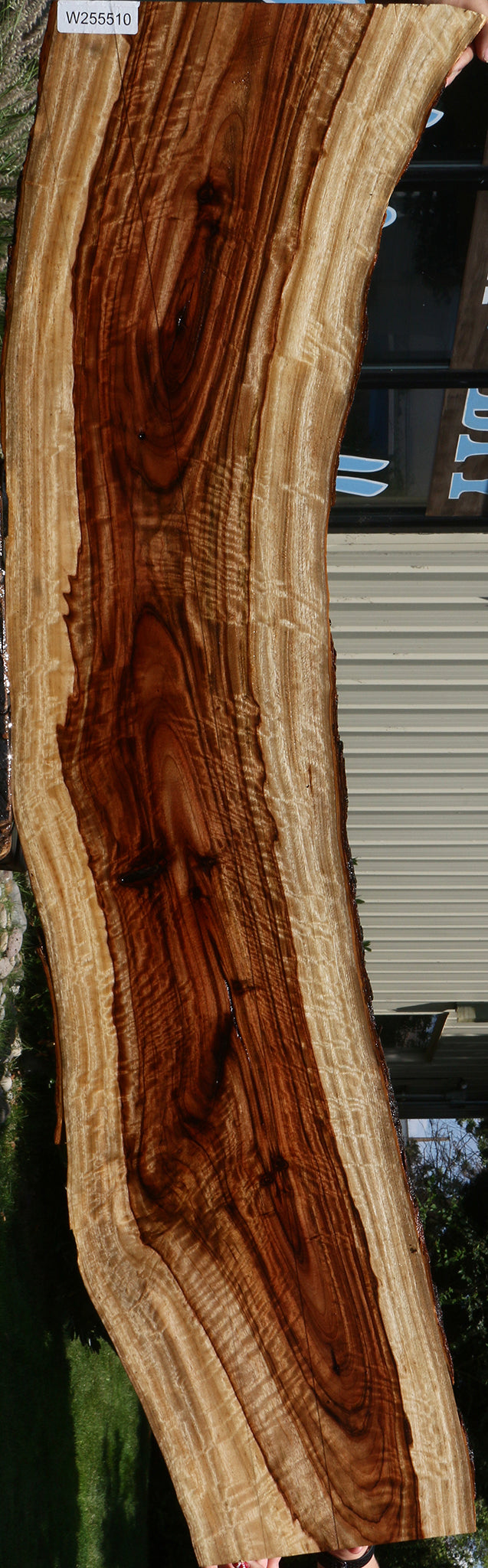 Extra Fancy Camphor Lumber