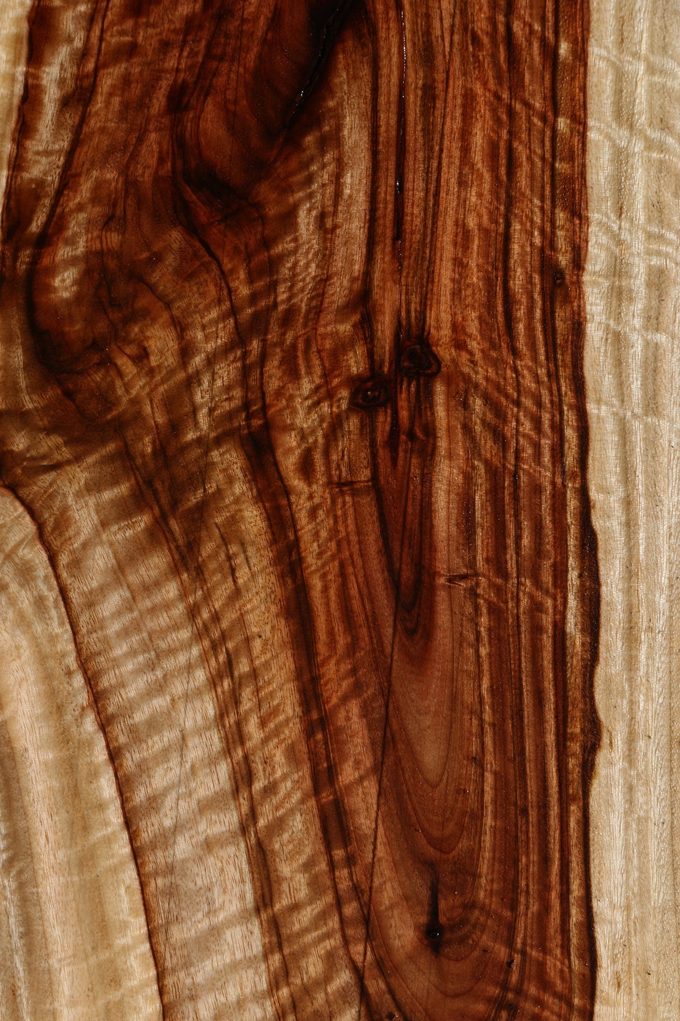 Extra Fancy Camphor Lumber