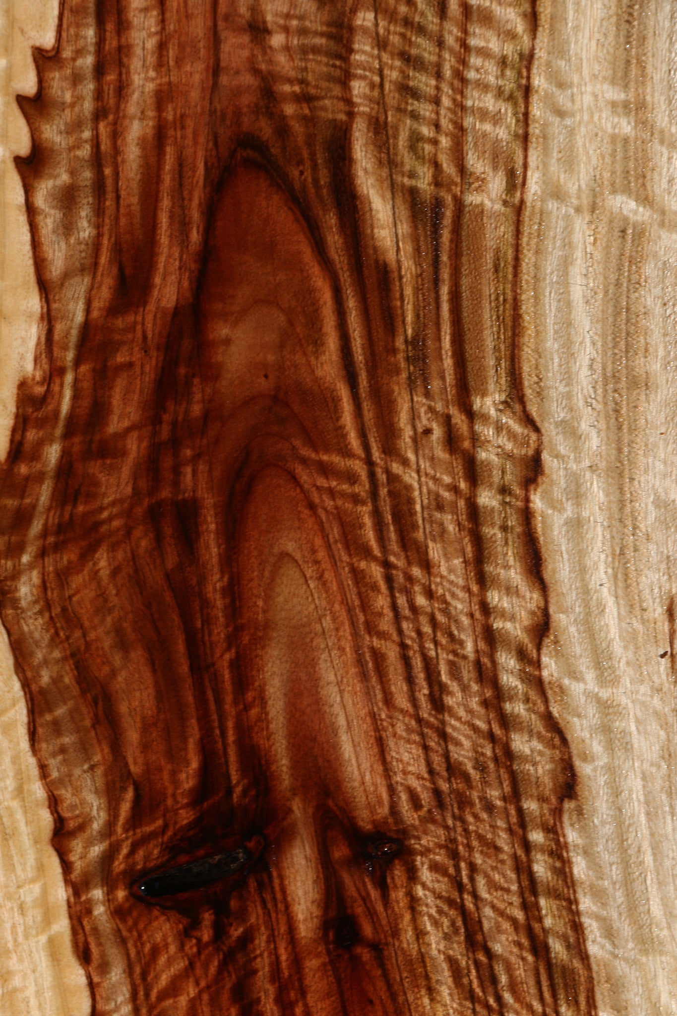 Extra Fancy Camphor Lumber